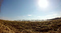 video clip 22520065