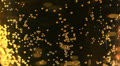 Bubbles in beer close up Video