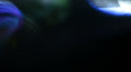 video clip 22663081