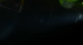 video clip 22663525