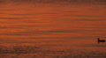 River Sunset Reflections 1 Video