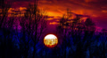 NO BIRDS! 4K & HD resolutions! Sun and clouds; MADE OF 14 bit RAW OUTPUT Video