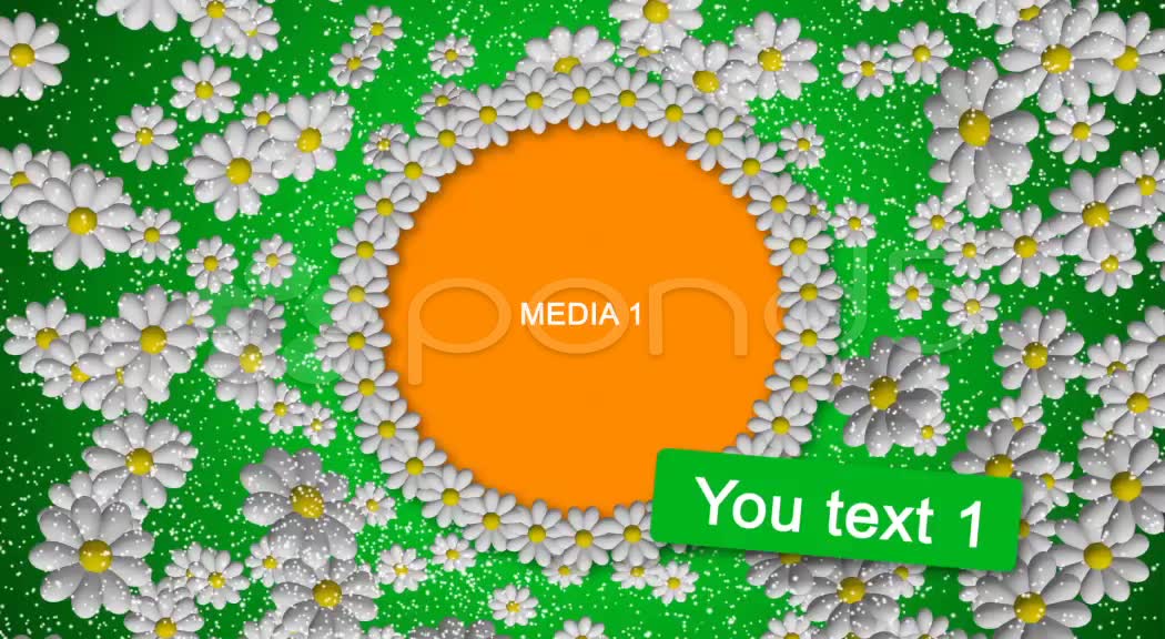 After Effects Project - Pond5 Flower color 22725742 After Effects Project - Pond5 Flower color 22725742
