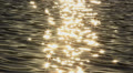 Abstract sun beams near the river Video