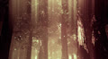 Deep Magic Forest 13 fireflies