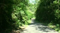 Jungle traffic tours Bali Video
