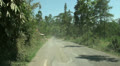 Jungle landscape traffic at Bali Video