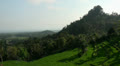 Rice terraces at Bali Video