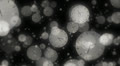 Time Lapse Clocks falling Particle background loop HD