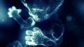 Digital Fetus Numbers Blue HD