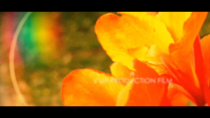 After Effects Project - Pond5 Sunny Days 23484765 After Effects Project - Pond5 Sunny Days 23484765