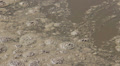 Sewage, dirty, polluted water