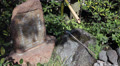Small basin a tsukubai for washing hands and rinsing of the mouth Video