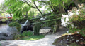 Bamboo pipeline with pouring water, Kamakura, Japan Video
