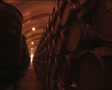 WINERY walk among barrels 2