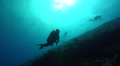 Scuba Diver