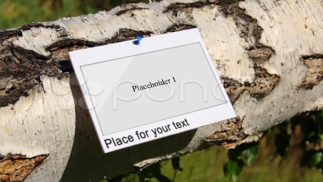 After Effects Project - Pond5 Birch Threes 24925207 After Effects Project - Pond5 Birch Threes 24925207