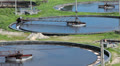 Group of huge circular sedimentation tanks. Video