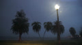 FloridaStorm24 Video