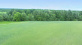 Aerial view of forest trees in suburb. Pilot pov, smooth motion Video