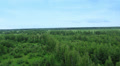 Flight over suburb pine tree forest, fields. Air balloon pov Video