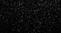 Twinkle Stars LM02 Loop White Video