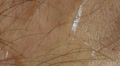 sweat sweating skin up close macro