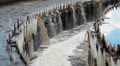 Water recycling in industrial sewage treatment plant Video