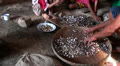Flores people in a jungle village preparing Cocoa Beans Video