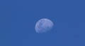 Moon at evening Video