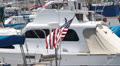 American Flag on Boats In Marina Video