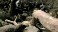 video clip 26258703