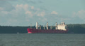 Bulk Carrier Ship Federal Asahi 1 Video