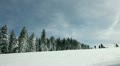 Ski slope with people skiing in winter idyll