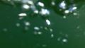 video clip 27909047