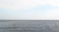 Sea and rocks Video