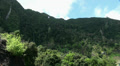 Several waterfalls in Madeira rainforest mountains Video