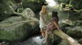 video clip 28346373