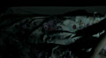 video clip 28505007