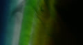 video clip 28684875