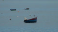 Boats at fishing village Camara de Lobos Video