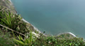 Downview from highest cliffs Video