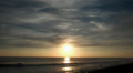 Ocean sunset with flying bird Video