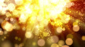 Abstract fantasy motion background, shining lights and particles Video
