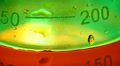 Laboratory Test