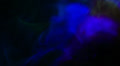 video clip 29594013