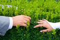 holding hands newlyweds