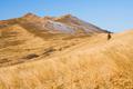 autumn mountain in bieszczady, poland