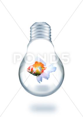 Stock Illustration of Goldfische schwimmen in Glühbirne