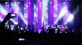 People at rock concert.
